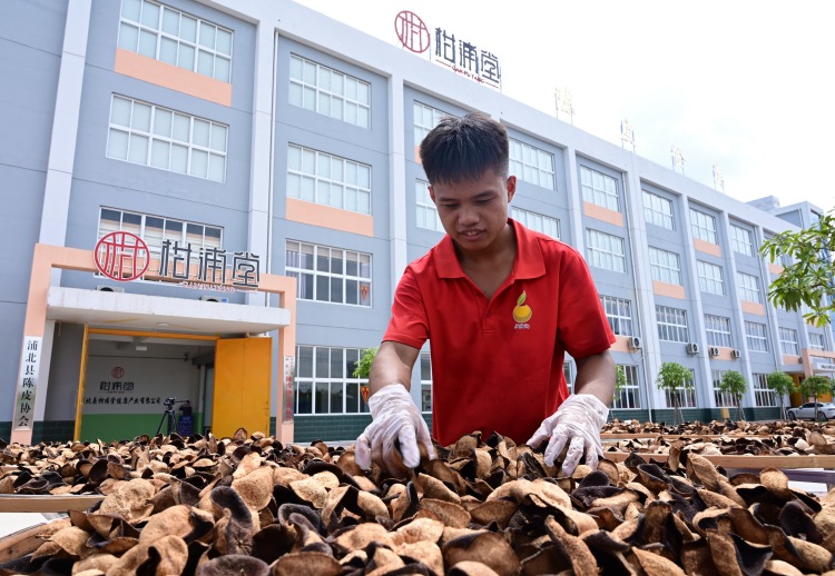 浦北龙门陈皮_广西浦北龙门天气预报_浦北龙门一级公路最新进展